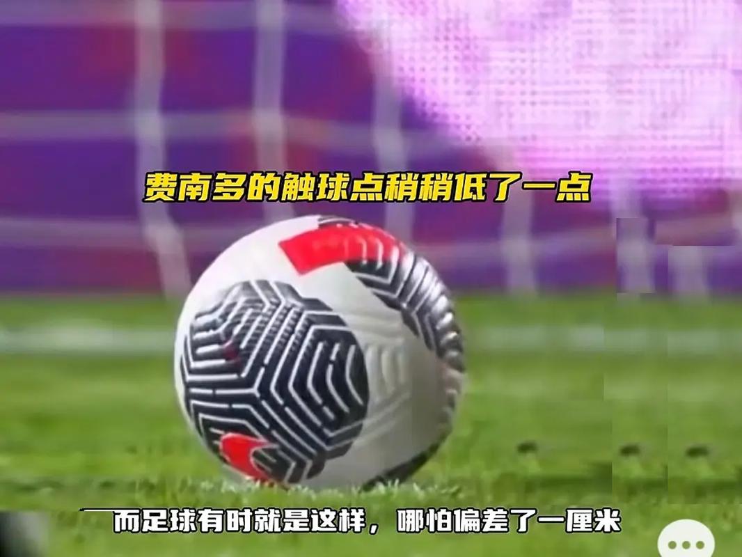 世界的网球